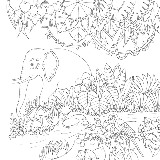 Magical Jungle - omalovánky od Johanny Basford